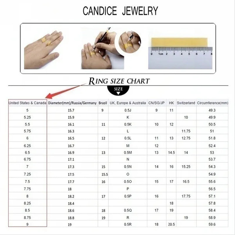 CANDICE Simple Sterling Silver Plated Eterity Wedding Ring Pave Natural Rose Red Green Blue Cubic Zirconia Stackable Rings Fashion Jewelry for Women Engagement Gift（Us SIZE 6-9）