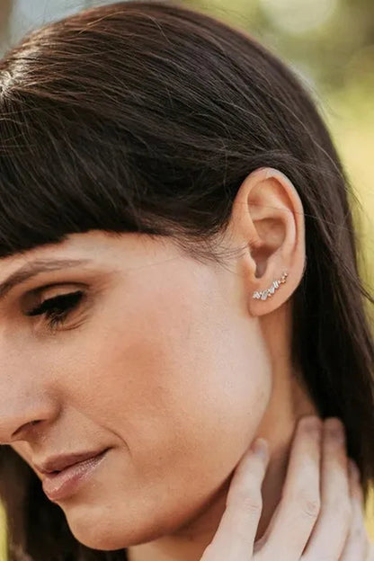Climbing Earrings for Women Crystal Zircon Stud Earrings Girl Birthday Party Gift Jewelry
