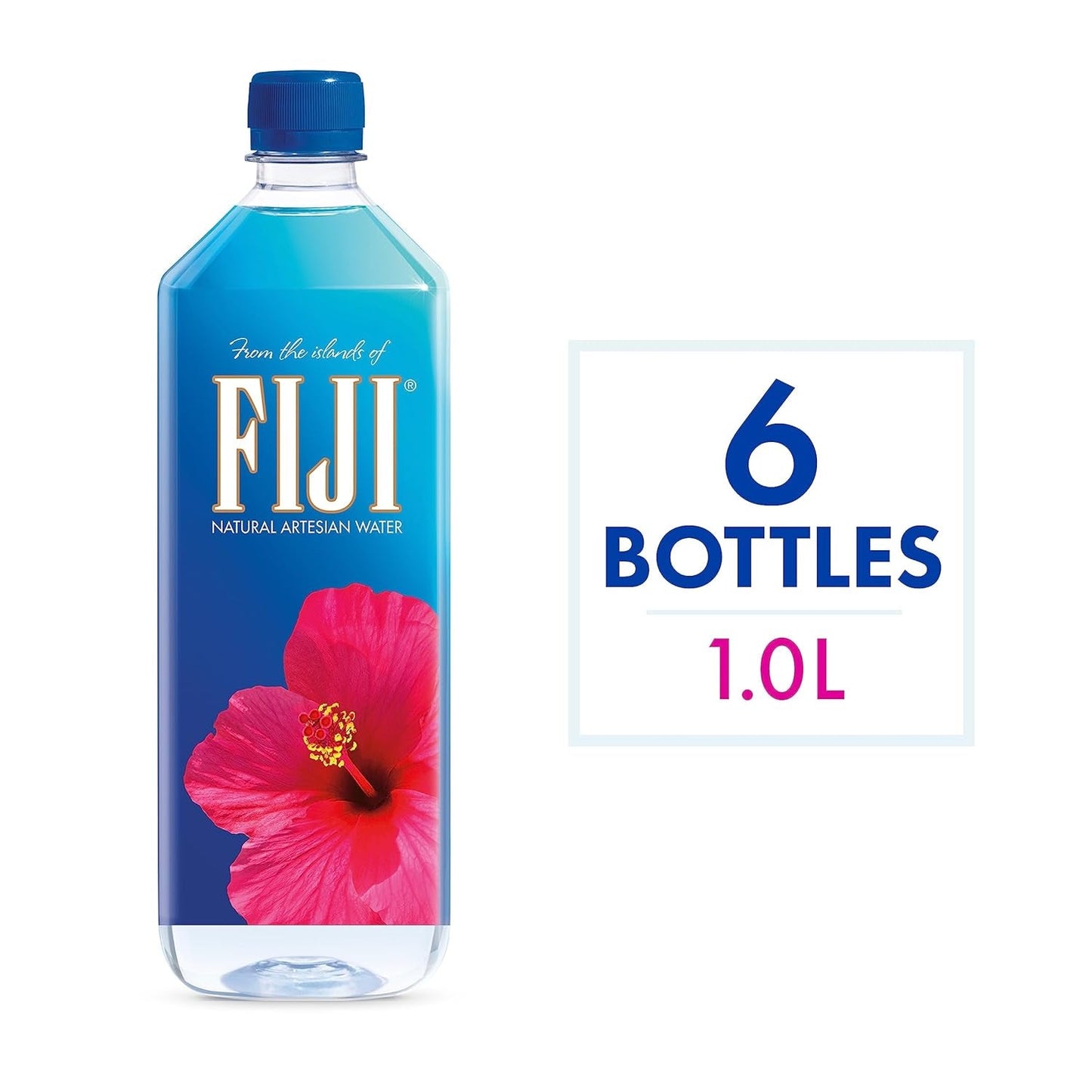 Natural Artesian Bottled Water 1 Liter / 33.8 Fl Ounce (Pack of 6)